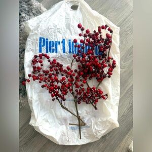 Pier 1 Imports Glittered Red Berry Stems